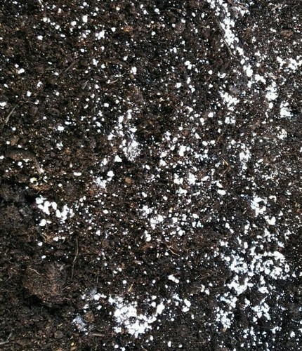 Multi purpose compost with - purpose,