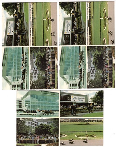 Lot calder race track - calder,