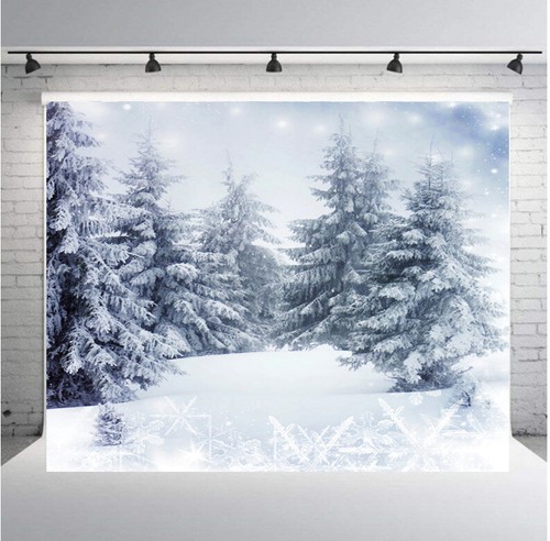 Winter snow forest trees - forest,