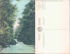 Fairy Glen Betws y Coed Boots Cash Chemists Landscapes Natural Scenery