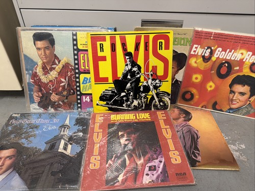 Lot elvis vinyl albums - 15,