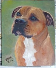 Staffie Dog Staffordshire Bull