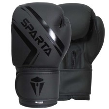 Boxing Gloves Sparring Punch Bag Gym Training Fight MMA Muay Thai Kickboxing 