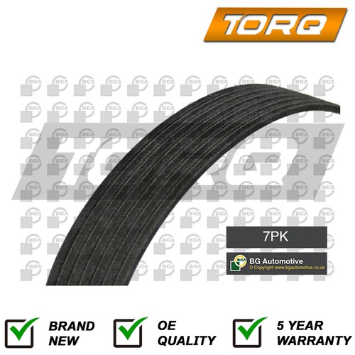 Alternator belt torq fits - torq,