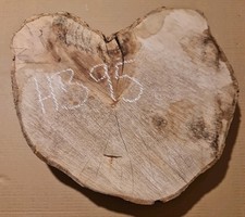 Old hornbeam burr burl cookie - hornbeam,