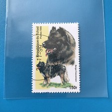 CAUCASIAN SHEPHERD GUARDIAN