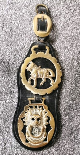 Horse brasses leather 2 - on,