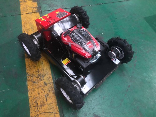 Remote controled lawn mower - lawn,