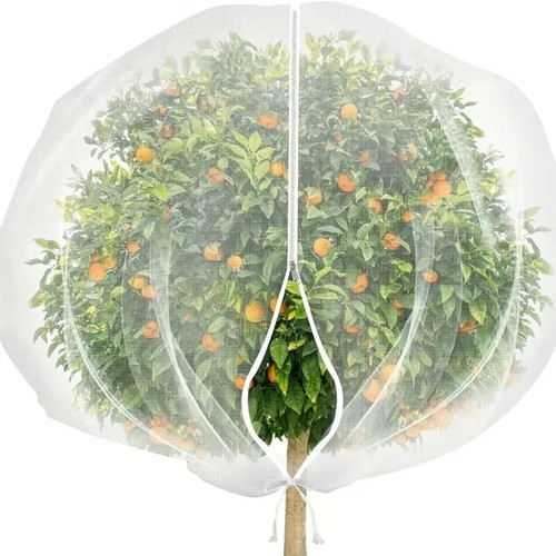 Zip drawstring plant insect - zip,