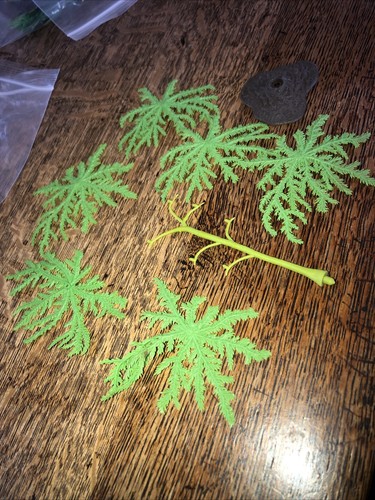 Britains make willow - willow, tree