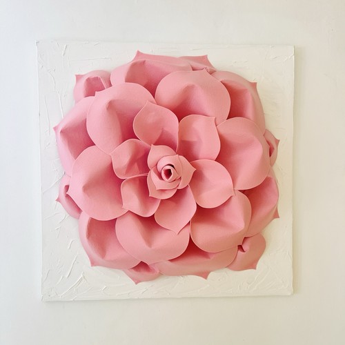 Acoustic succulent cm - acoustic,