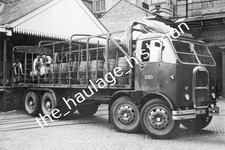 Thh truck photos - photos,