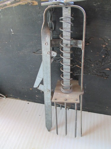 Plunger style mole - style, trap