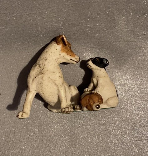 Teviotdale jack russel and - jack,