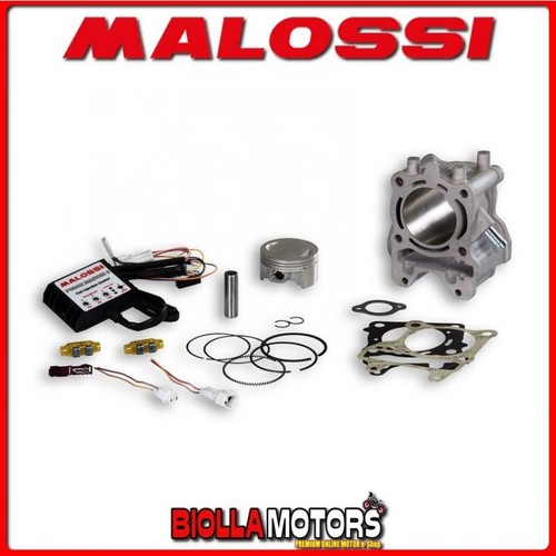 3117559 cylinder malossi 61 - 3117559,