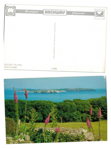Vintage postcard caldey - vintage,