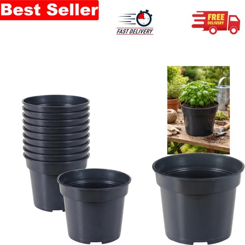 Pack black plastic plant - 10,