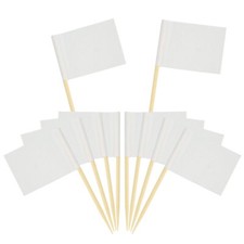 200 Pack Blank Toothpick