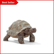 Realistic giant tortoise - realistic,