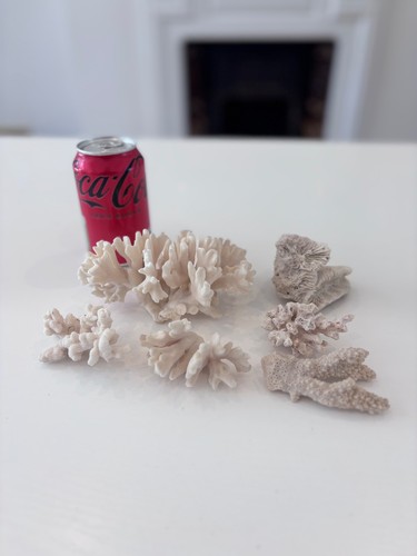 Antique coral peices