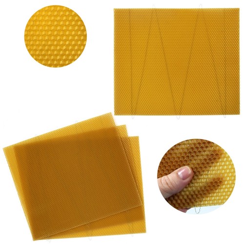 National beehive deep - deep, brood