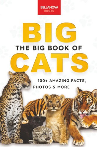 The big book cats - the,