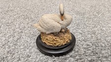 COUNTRY ARTISTS ENGLAND SWAN