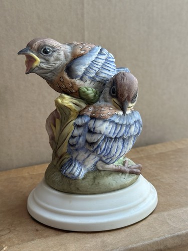 Boehm fledgling western - fledgling,