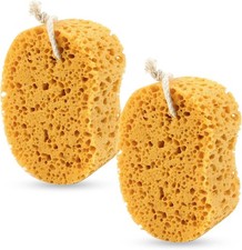 2Pcs Bath Sponge, Natural Sea
