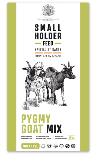 Allen page pygmy goat mix - page,
