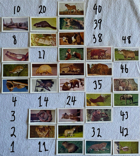 Horniman tea wild animals - wild,