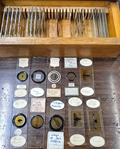 Antique victorian microscope - antique,