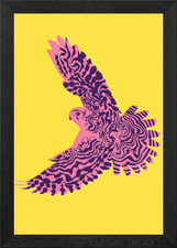 Red tailed hawk Framed Wall