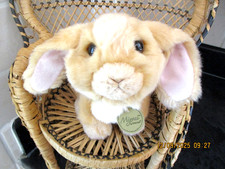 Aurora Miyoni Lop Eared Bunny Plush 15cm Realistic super Soft Toy Rabbit      8