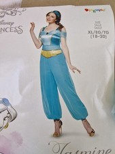 Disguise - Disney Princess