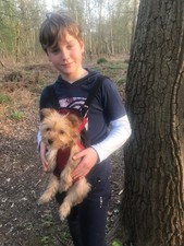 Red puppy papoose suits a jack russel/chihuaha/terriers