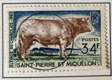 St. Pierre & Miquelon 1964 Charolais Bull bovine cattles animals SC# 373 USED