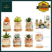 6PC Decorative Owl Themed