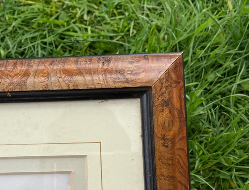 Vintage antique burr walnut - antique,