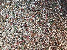 Budgie breeder with VAM cage and aviary bird seed, 1.5 kg +++