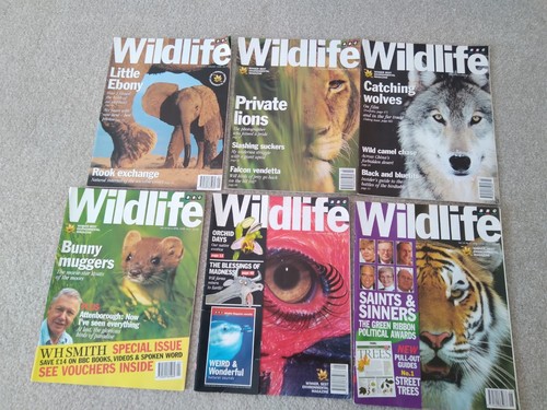 Bbc wildlife magazine bundle - bbc,