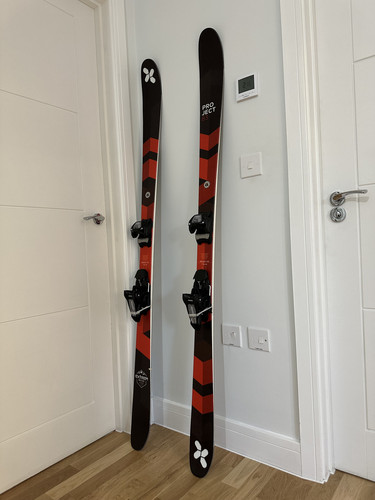 Skis board extrem project - skis,