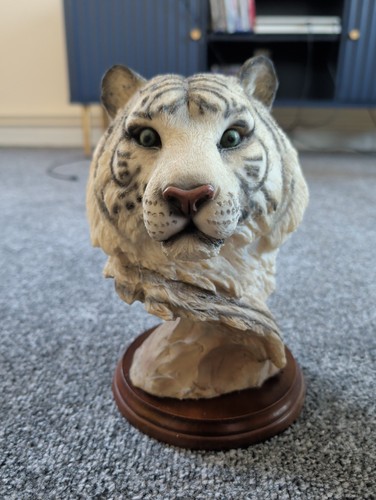 White tiger head - white,