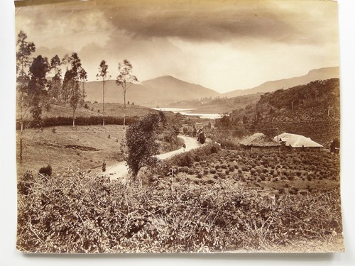Landscape valley road horse - road,