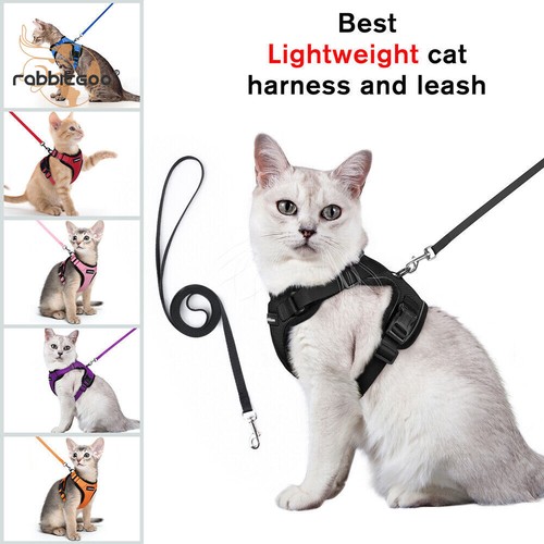 Rabbitgoo cat harness lead - harness, &