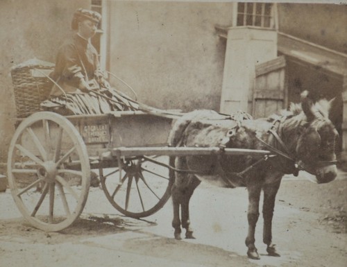 1860s cdv victorian photo - 1860s,