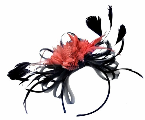 Customised feather hair - customised,
