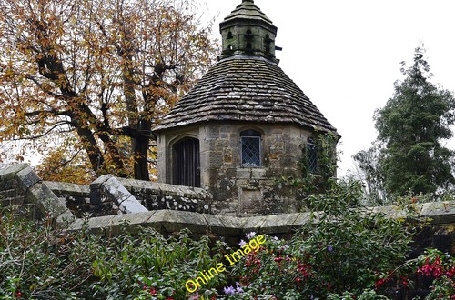 Photo 12x8 nymans - 12x8,