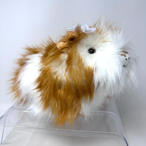 Little lilly riley guinea - little,