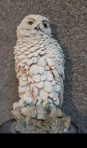 Country artists snowy owl - snowy,